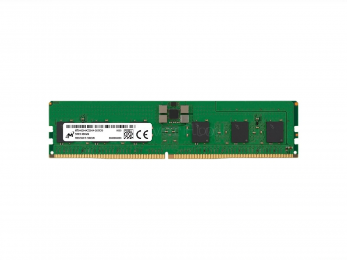 Оперативная память 24GB DDR5 ECC REG Micron 5600Mhz 1Rx8 [MTC10F108YS1RC56BB1]
