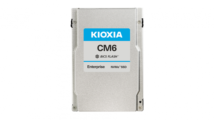 SSD диск Kioxia(HPE) CM6-R 960GB 1 DWPD(KCM6XRUL960G)