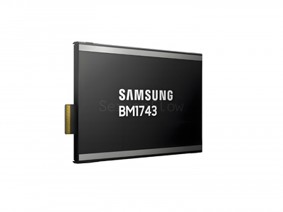 SSD-накопитель Samsung BM1743 30.72TB E3.S [MZ3MO30THCLF-00AW7]