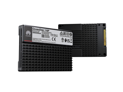 SSD-накопитель Huawei OceanDisk 116P 30.72TB 2.5" U.2 2x2 [HSSD-O1925DA30TN]