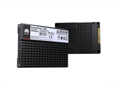 SSD-накопитель Huawei OceanDisk 116P 30.72TB 2.5" U.2 2x2 [HSSD-O1924DA30TN]