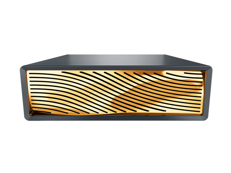 xFusion FusionXpark GB10 (GB10 Grace Superchip, ARM v9.2-A (GB10), RAM 128GB) 1