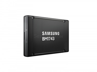 SSD-накопитель Samsung BM1743 122.88TB 2.5" U.2 [MZWMOA2THCPA-00AW7]