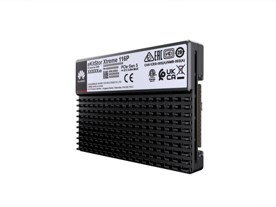 SSD-накопитель Huawei eKitStor Xtreme 116P 30.72TB 2.5" U.2 [HSSD-E1230TP5A9N]