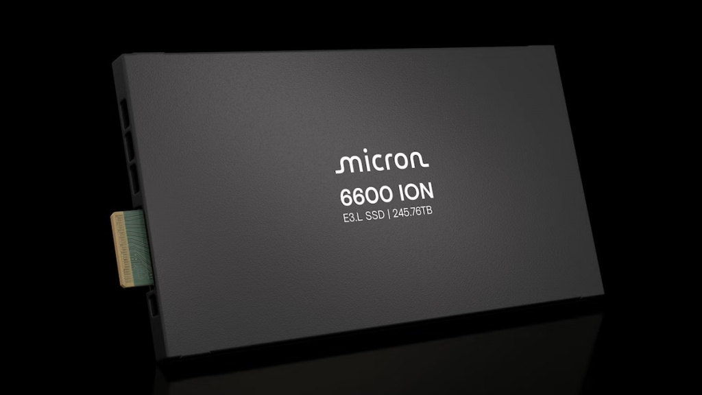 Micron 6600 ION