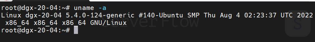 Информация о ядре DGX OS