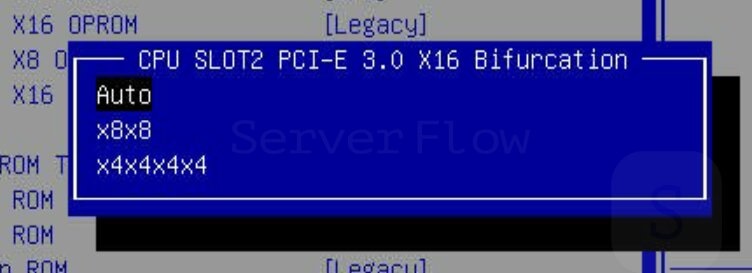 Режимы работы бифуркации в BIOS
