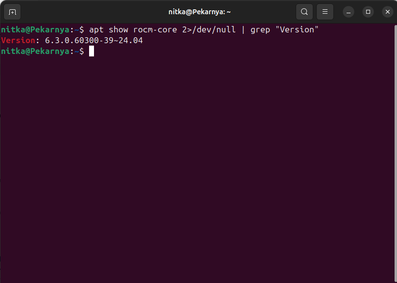 Установленный ROCm 6.3