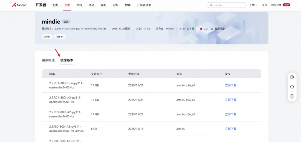 Страница с контейнером 2.1.RC2-300I-Duo-py311-openeuler24.03-lts