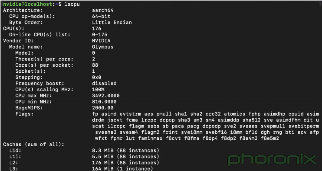 Вывод команды lscpu в Linux-системе на базе Nvidia Vera