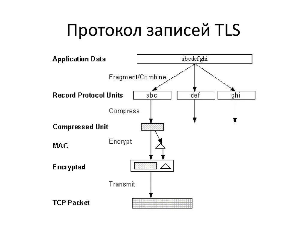Протокол записей TLS