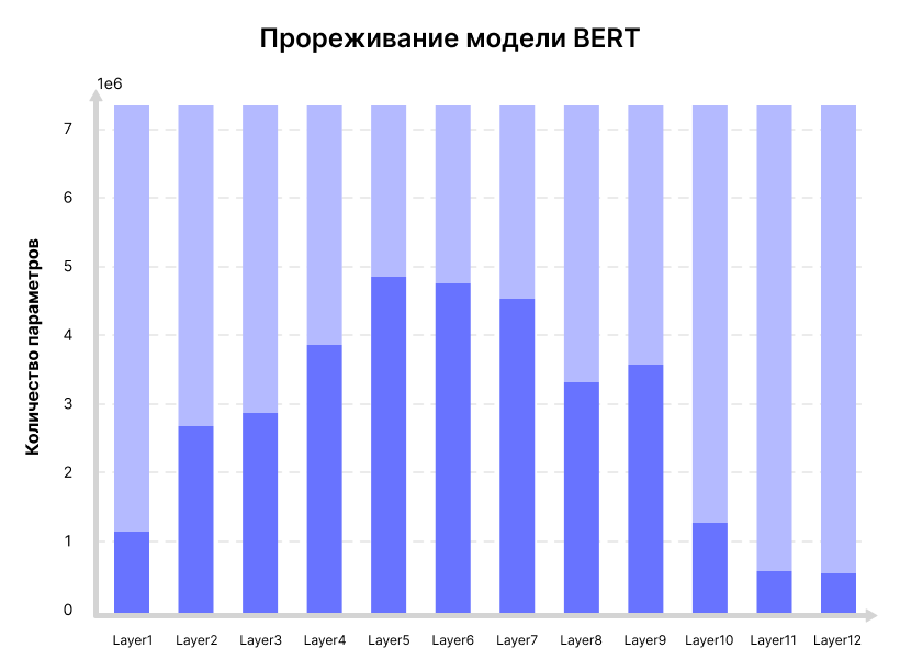 bert-do-i-posle-strukturnoj-razrezhennosti