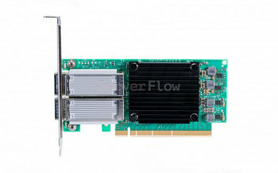 Mellanox MCX516A-CCHT
