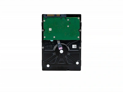 Жесткий диск Seagate Enterprise Capacity v4 (DELL) 2TB 3.5" SAS 12Gb/s [ST2000NM0005]