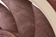 Вентилятор Noctua NF-A12x25 PWM 120mm 4