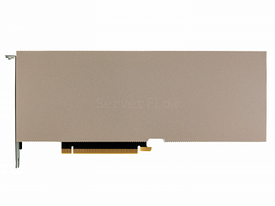 Видеокарта NVIDIA A100 OEM 40GB HBM2e [900-21001-0100-030]