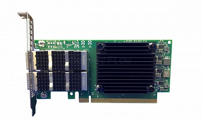 Сетевая карта Mellanox MCX623106TN-CDAT (2x QSFP56 100GBE)